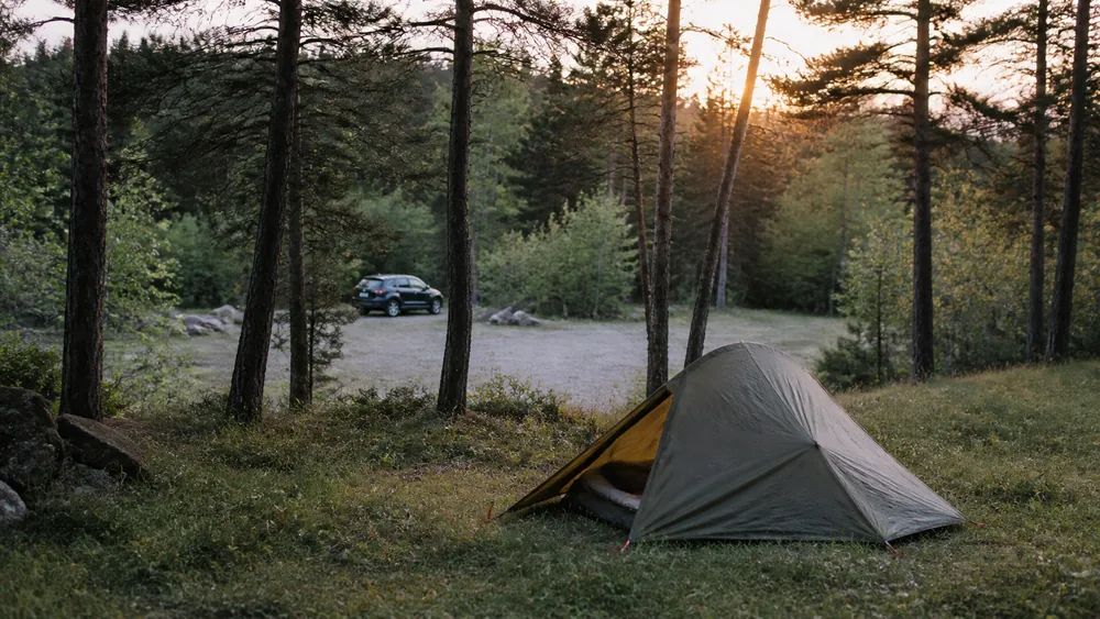 A small tent pitched on grass just above a quiet gravel parking area at dusk with a car visible through the trees - a first overnight that keeps an easy exit | KnowOutdoor