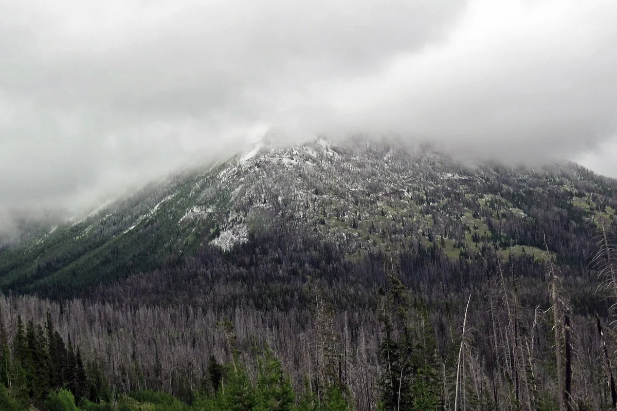 Mountain creek below snowfields in the Absaroka Range - Absaroka Range | KnowOutdoor