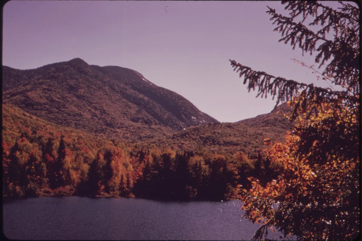 Rocky and rooted High Peaks trail in the Adirondack Mountains - Adirondack Mountains | KnowOutdoor