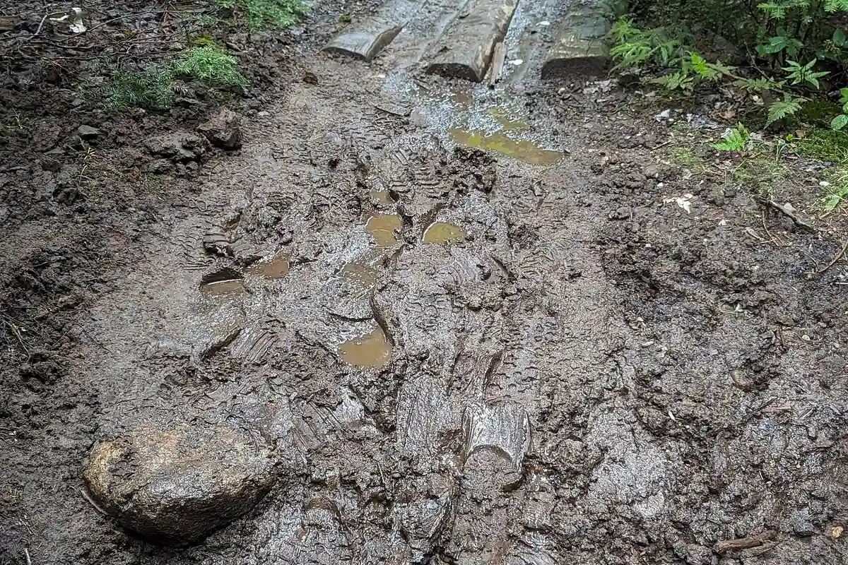 Muddy maintained trail in the Adirondack Mountains - Adirondack Mountains | KnowOutdoor