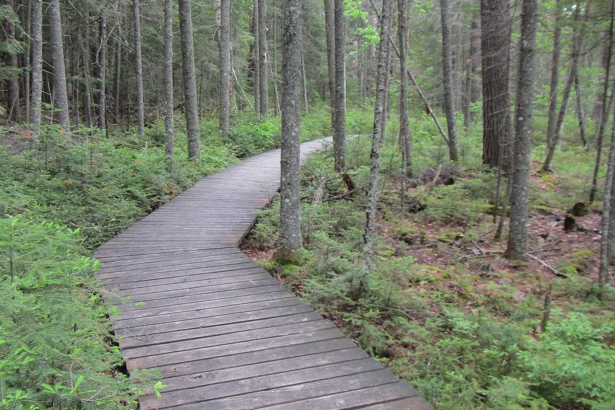 Wetland boardwalk and lake route in the Adirondack Mountains - Adirondack Mountains | KnowOutdoor