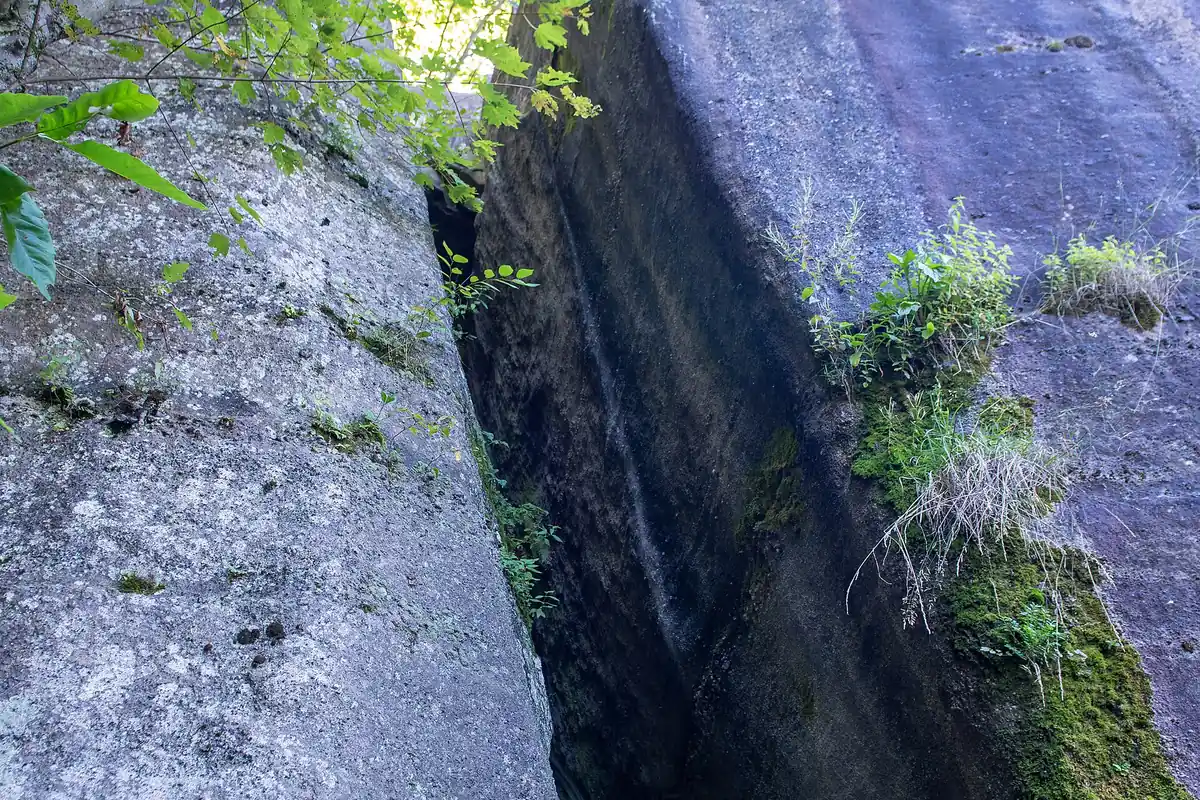 Narrow rock passage beside an Allegheny forest hiking trail - Allegheny National Forest | KnowOutdoor
