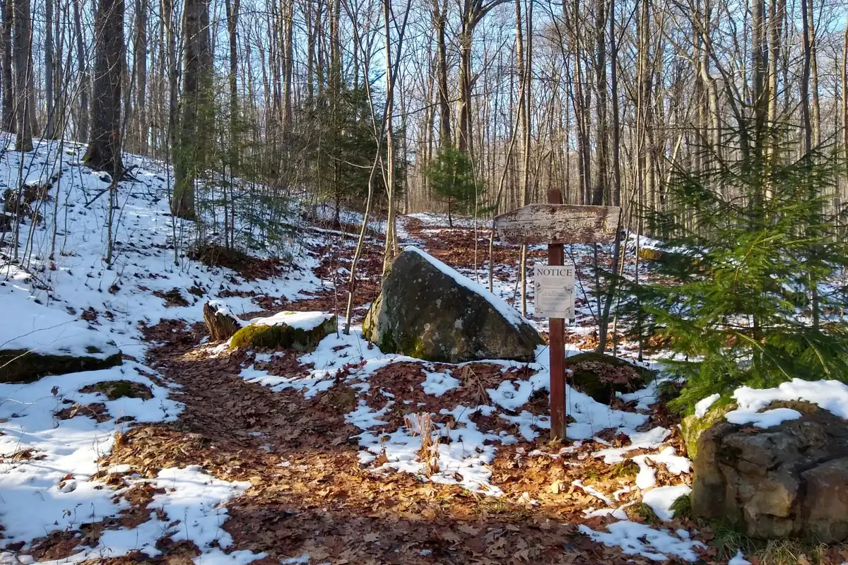 Trailhead information board in Allegheny National Forest - Allegheny National Forest | KnowOutdoor