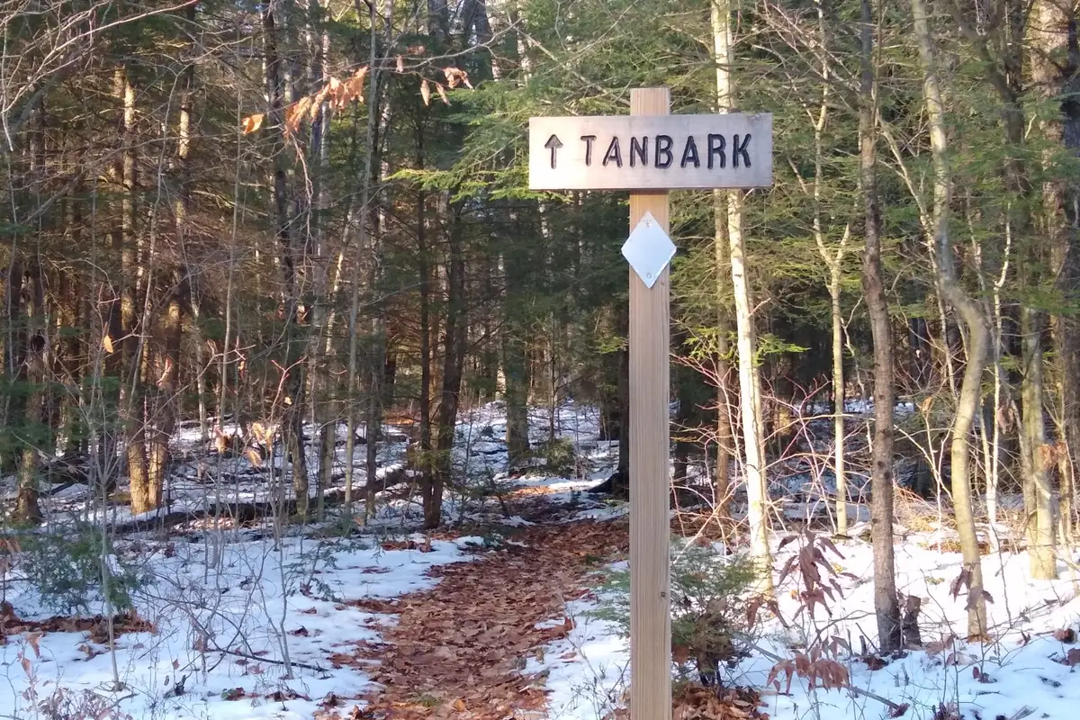 Dense hardwood forest and marked trail junction in Allegheny National Forest - Allegheny National Forest | KnowOutdoor