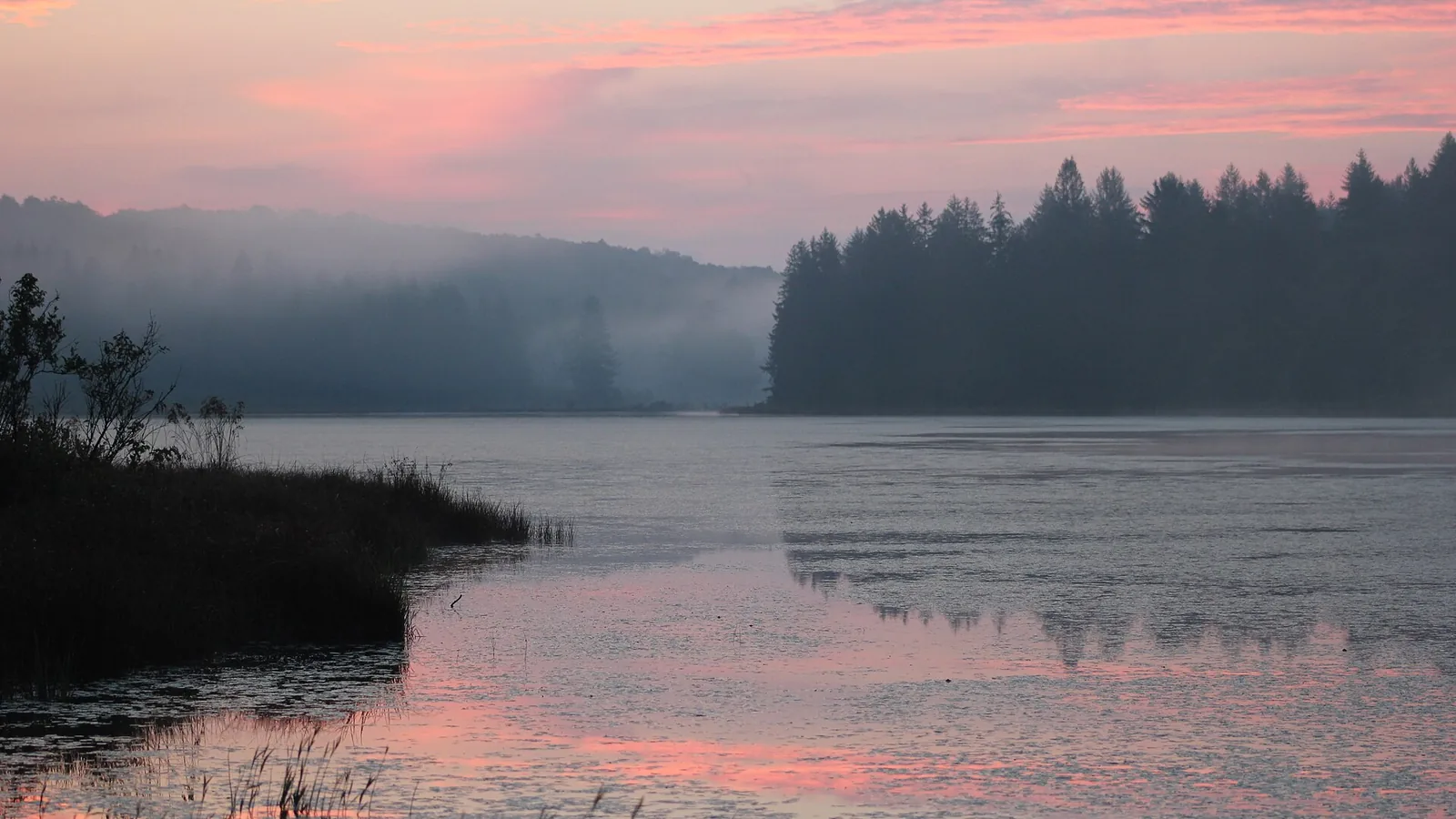 Which Allegheny National Forest Hikes Fit Your Trip?