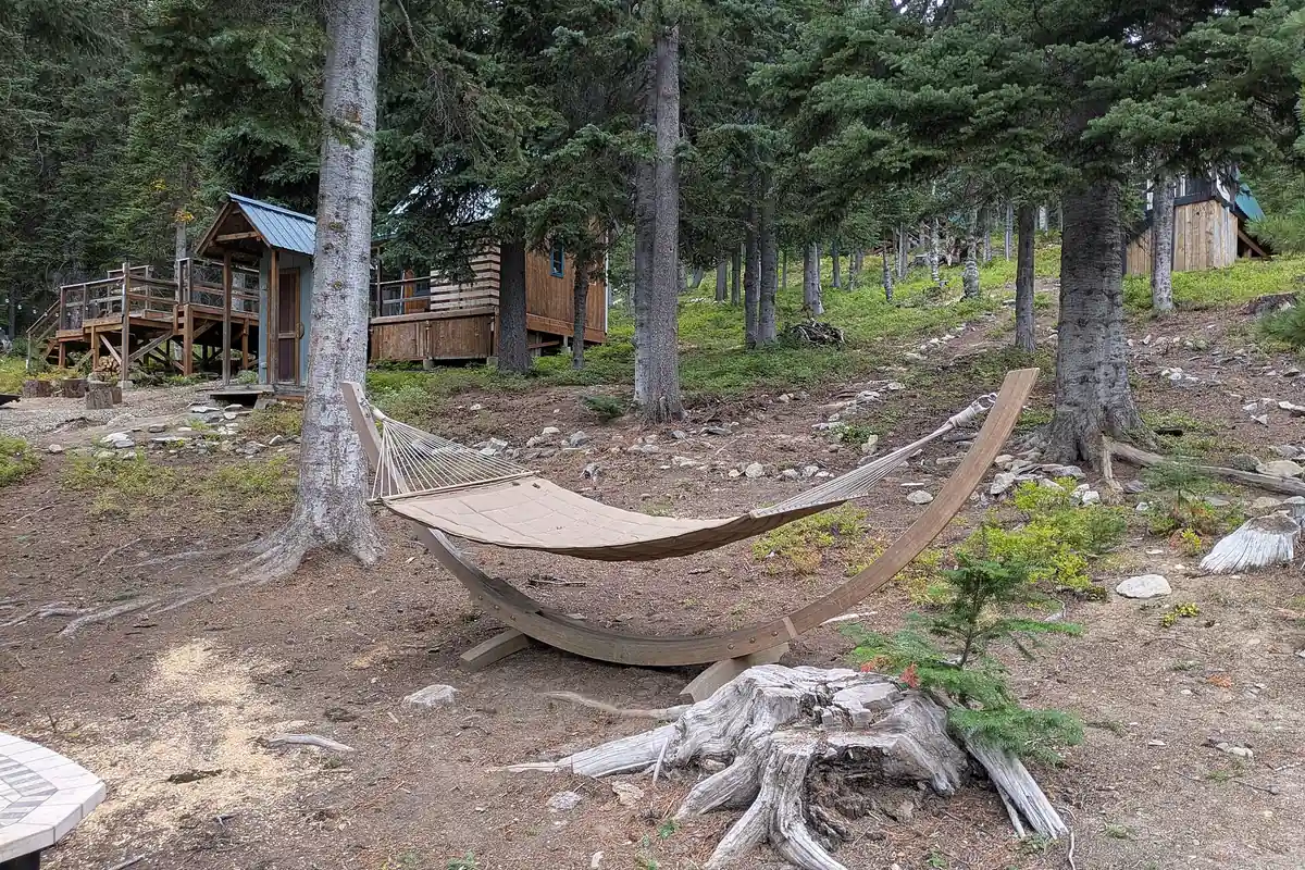 Established high camp beneath conifer trees - Backcountry camping | KnowOutdoor