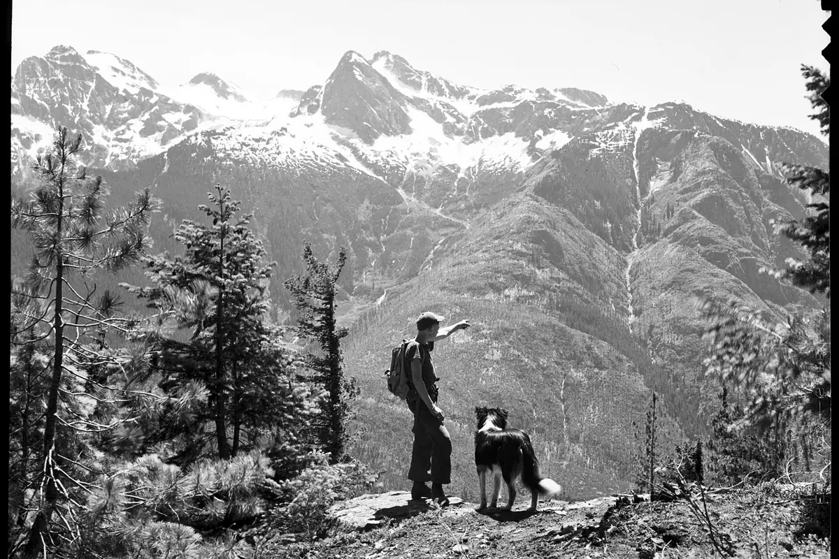 Leashed dog on a forest trail outside a restricted Alpine Lakes zone - Alpine Lakes Wilderness | KnowOutdoor