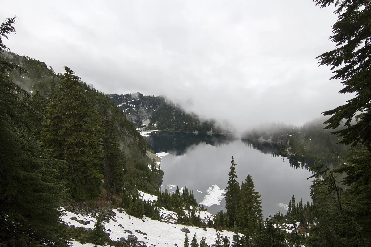 Forest trail below the alpine snowline in Alpine Lakes Wilderness - Alpine Lakes Wilderness | KnowOutdoor