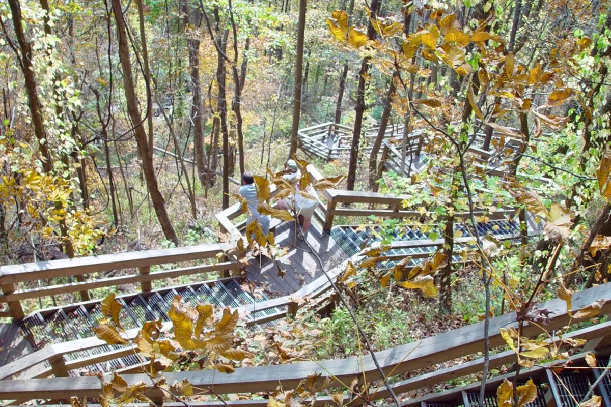 Long stairway beside Amicalola Falls - Amicalola Falls State Park | KnowOutdoor