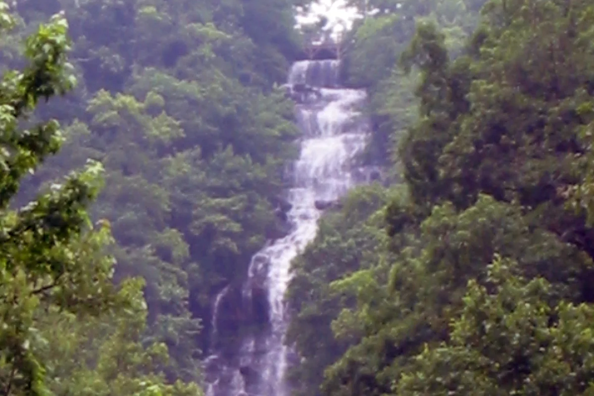 Amicalola Falls flowing through a green forest - Amicalola Falls State Park | KnowOutdoor