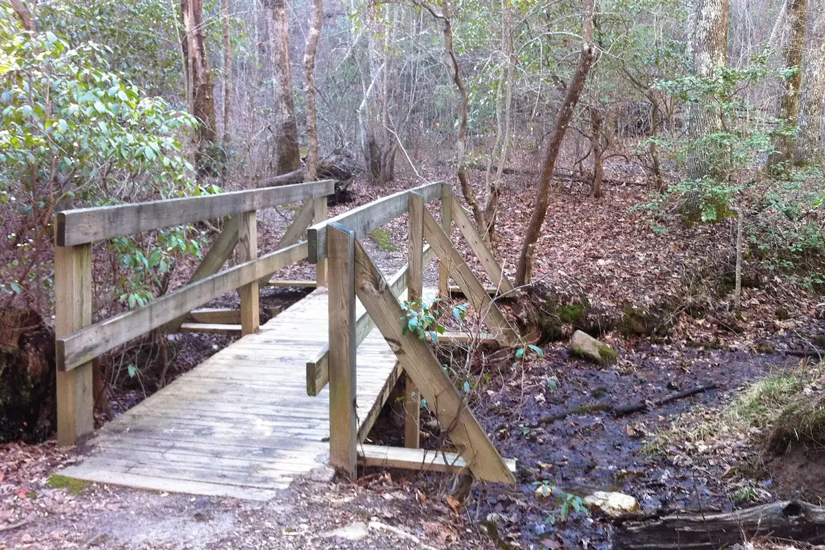 Hike-in lodging trail through forest near Amicalola Falls - Amicalola Falls State Park | KnowOutdoor