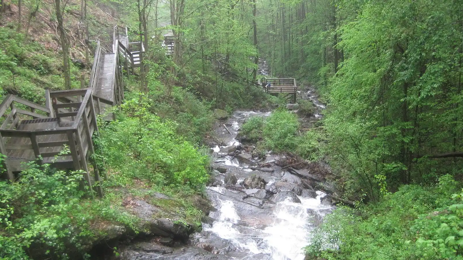 Which Amicalola Falls Hike Should You Choose?