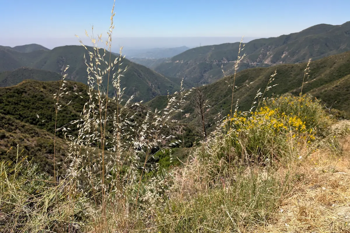 Chaparral ridge and mountain corridor in Angeles National Forest - Angeles National Forest | KnowOutdoor
