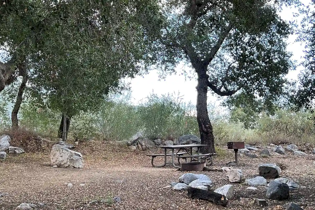 Designated mountain campground in Angeles National Forest - Angeles National Forest | KnowOutdoor