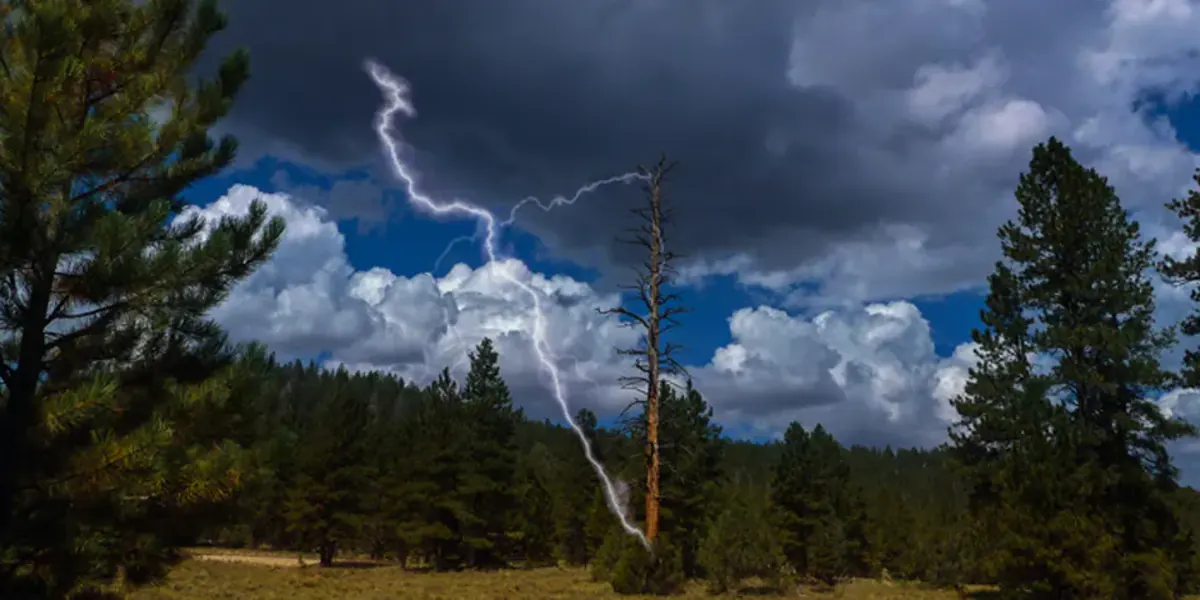 Lightning striking a ponderosa pine at Bryce Canyon National Park
