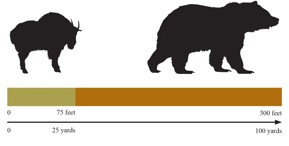 Official Glacier graphic showing minimum wildlife viewing distances