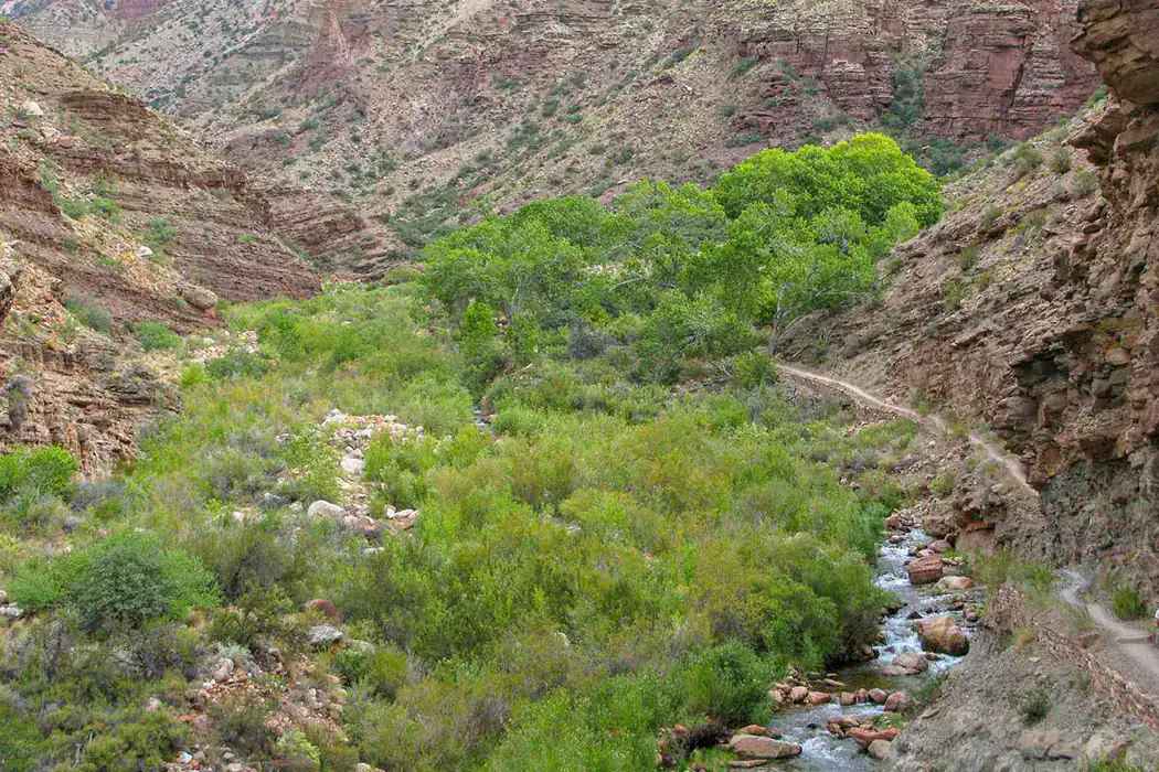 Hikers beside a creek on a backcountry route in Grand Canyon National Park