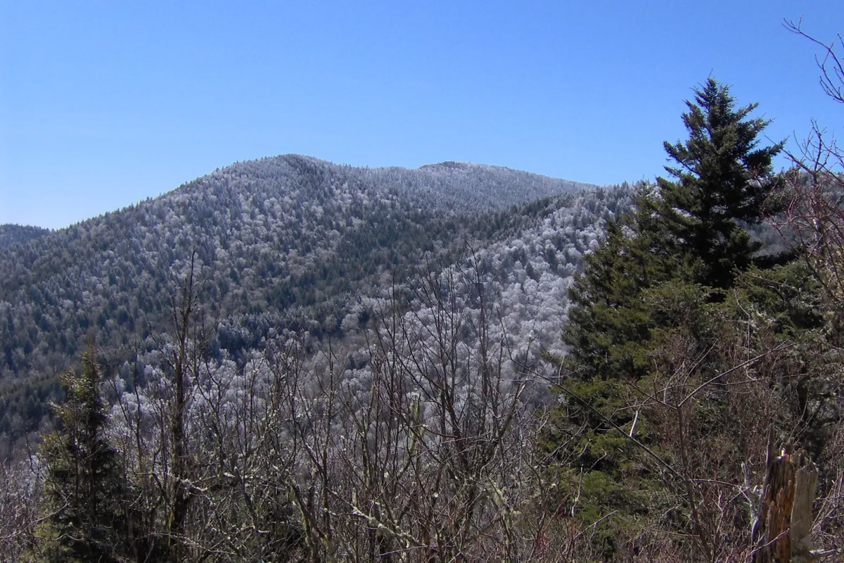 Forested hiking terrain in Great Smoky Mountains National Park - Great Smoky Mountains National Park | KnowOutdoor