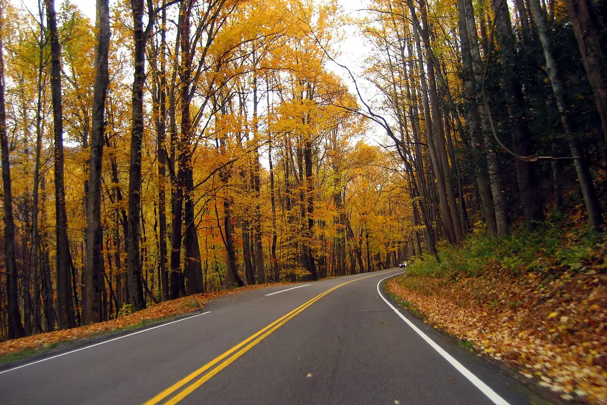 Autumn landscape in Great Smoky Mountains National Park - Great Smoky Mountains National Park | KnowOutdoor