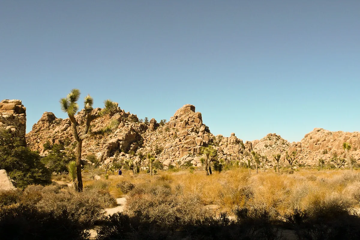 Exposed desert trail in Joshua Tree National Park - Joshua Tree National Park | KnowOutdoor