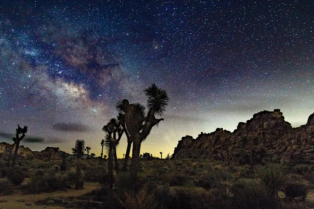 Desert road crossing Joshua Tree National Park - Joshua Tree National Park | KnowOutdoor
