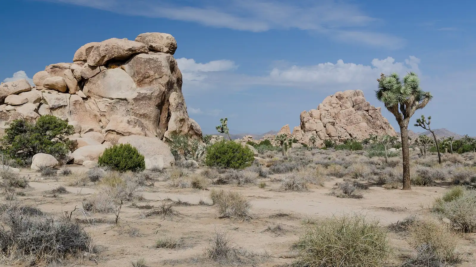 Joshua Tree Hiking by Heat, Water, and Desert Zone