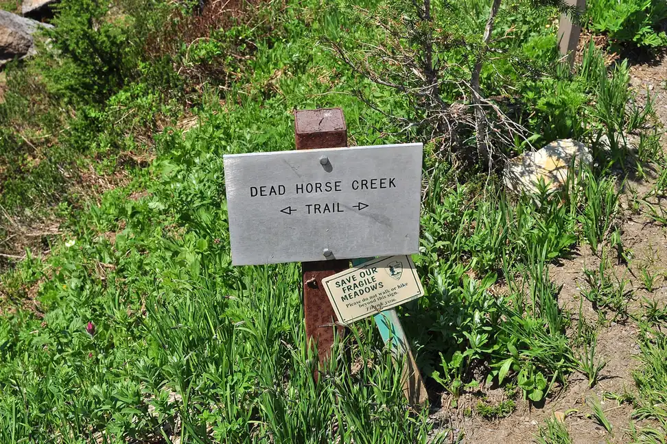 Road and developed-area access in Mount Rainier National Park - Mount Rainier National Park | KnowOutdoor