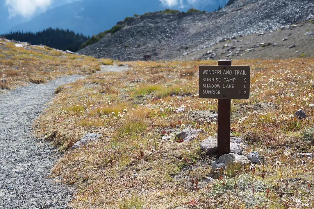 Seasonal mountain landscape in Mount Rainier National Park - Mount Rainier National Park | KnowOutdoor