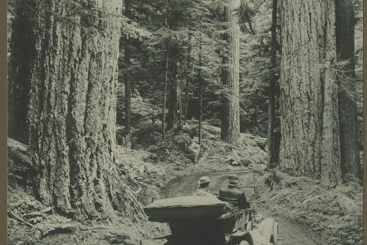 Visitors and trail access in Mount Rainier National Park - Mount Rainier National Park | KnowOutdoor
