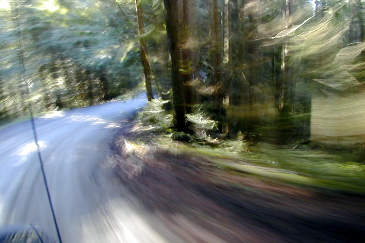 Campground setting in Olympic National Park - Olympic National Park | KnowOutdoor