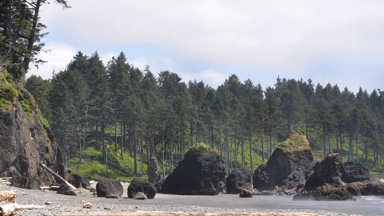 Olympic National Park Hiking Across Three Ecosystems