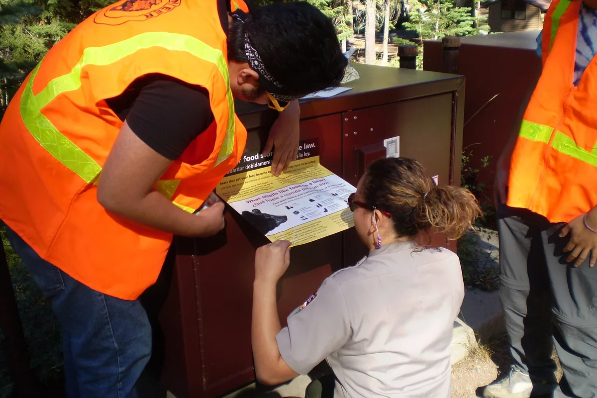 Bear-resistant food storage box at a Sierra campground - Sequoia National Park | KnowOutdoor