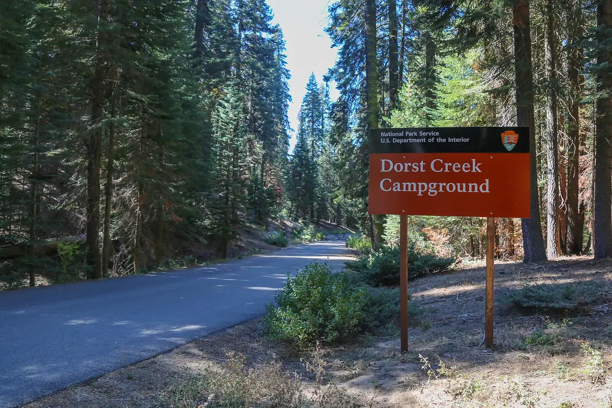 Forested campground in Sequoia National Park - Sequoia National Park | KnowOutdoor