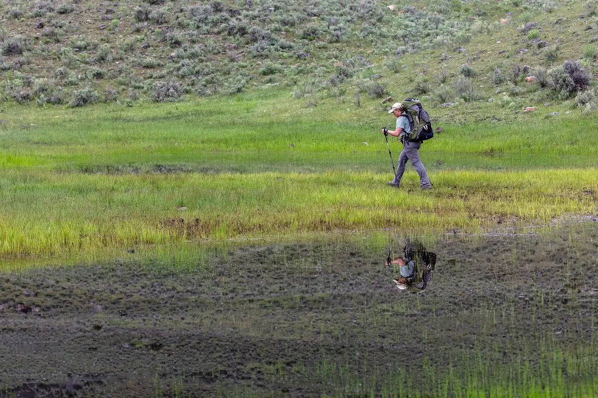 Hikers traveling together through bear habitat in Yellowstone National Park - Yellowstone National Park | KnowOutdoor