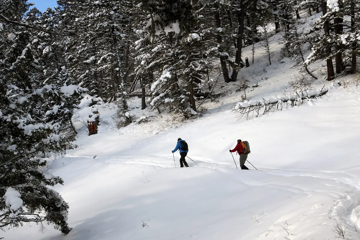 Snow remaining on a high trail in Yellowstone National Park - Yellowstone National Park | KnowOutdoor