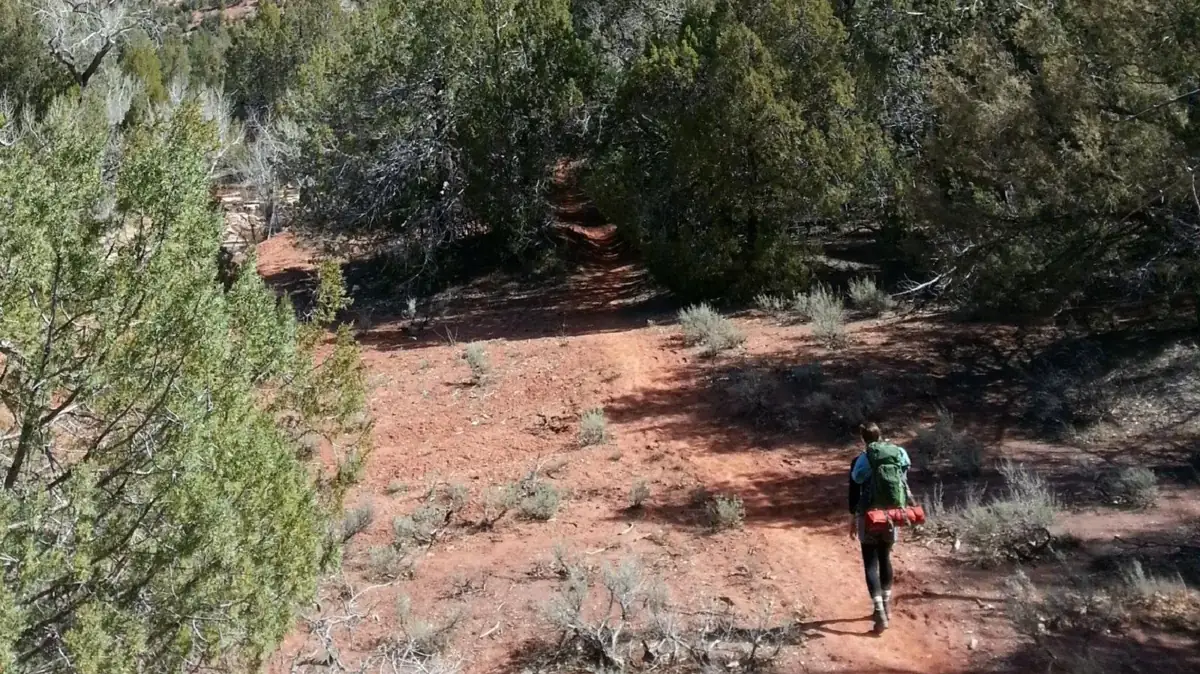 Backpacker crossing a dry red-dirt trail with sparse shade - Zion National Park | KnowOutdoor
