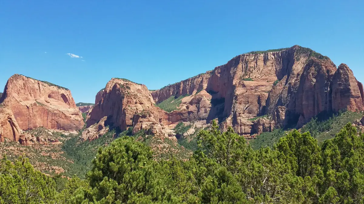 Red sandstone cliffs above the forested Kolob Canyons district - Zion National Park | KnowOutdoor