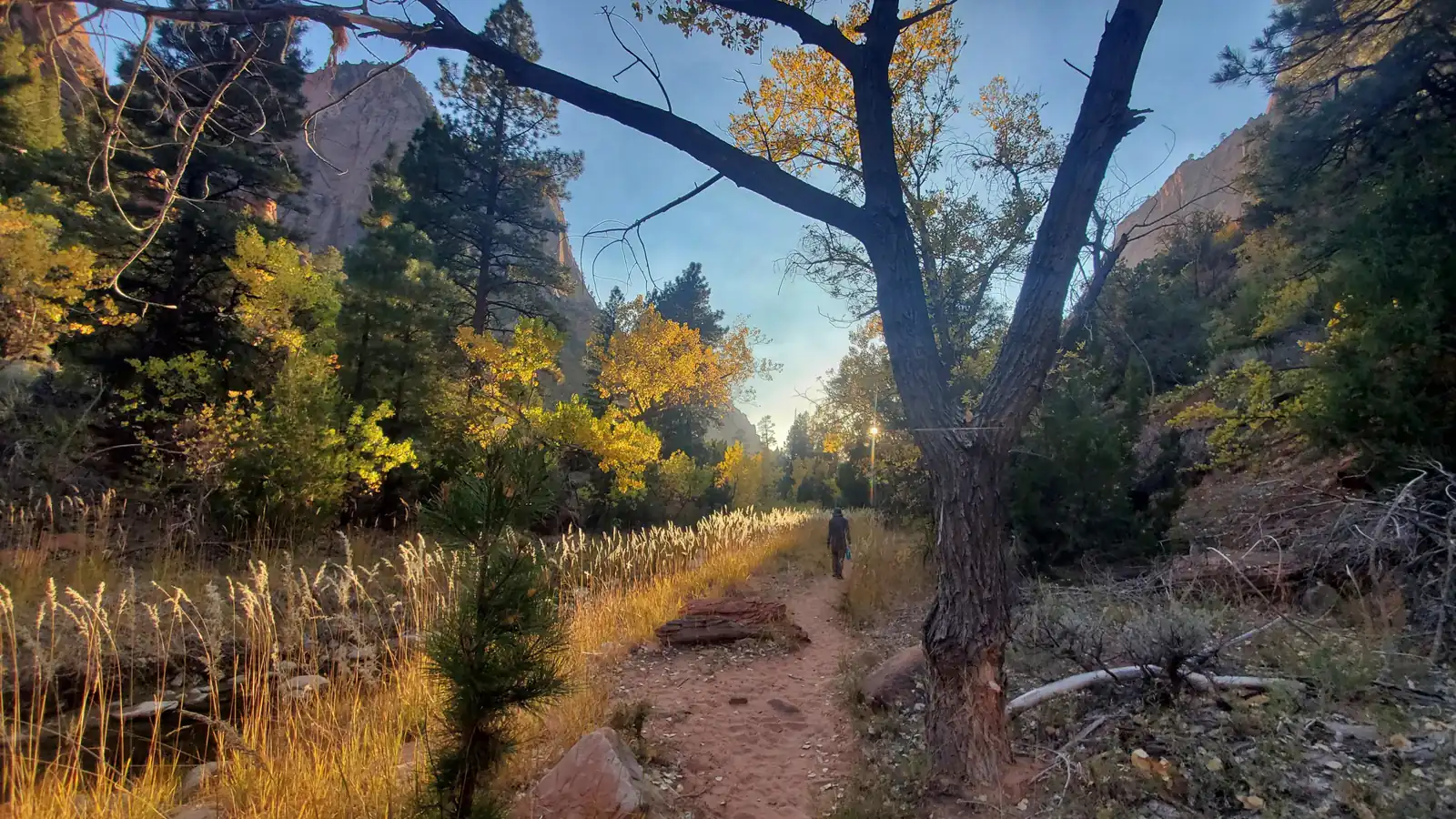 Zion National Park Hiking Starts with the Right Sector