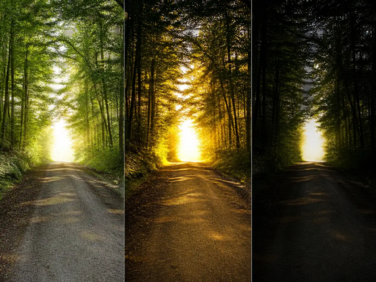 Forest road opening into bright sunlight through clear, contrast and dark generic sports lenses - lens selection | KnowOutdoor
