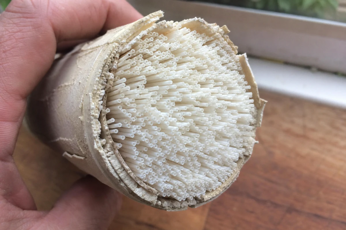 Close view of a hollow-fiber water filter cartridge cut to show the bundle of fine membrane fibers - Hollow-fiber water filter membrane | KnowOutdoor