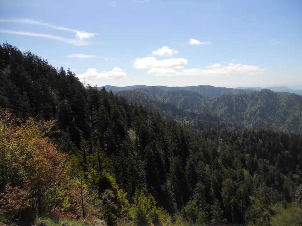 Forested ridges spread beyond the Alum Cave Trail - Great Smoky Mountains National Park | KnowOutdoor