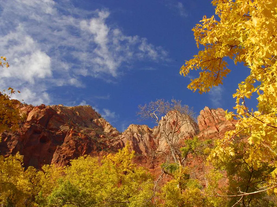 Red sandstone cliffs rise above the Emerald Pools trailhead - Zion National Park | KnowOutdoor