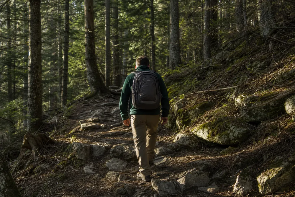 Hiker walking steady hill repeats on a wooded path