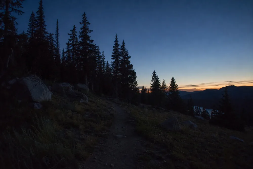 Fading blue dusk light behind a dark conifer treeline with a narrow trail disappearing into shadow - sunrise and sunset hiking | KnowOutdoor