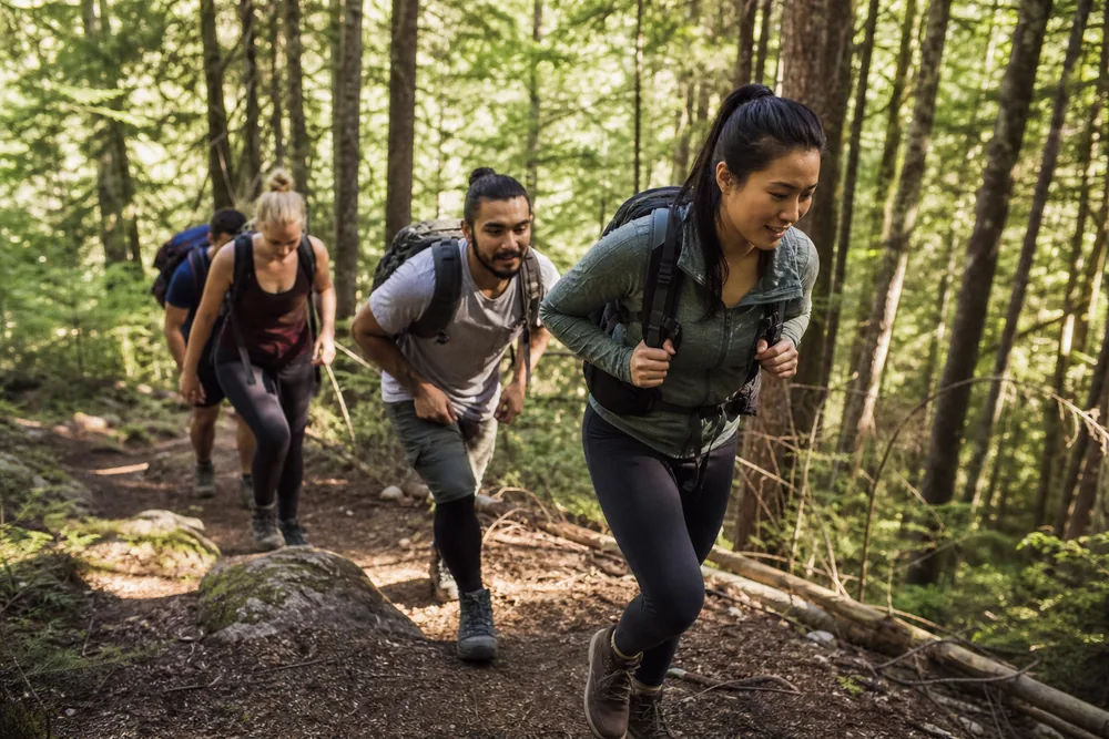 Hikers climbing a forest trail at a steady exercise pace