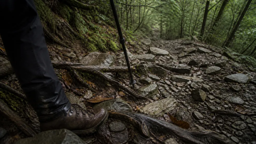 Boot-level view down a steep descent of loose rock and wet exposed tree roots crossing the trail at awkward angles with a pole tip planted - terrain that causes rolled ankles | KnowOutdoor