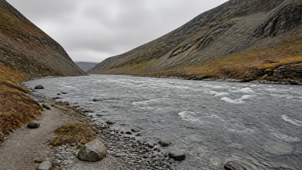 How Long Can You Survive in Cold Water, and What Kills First?