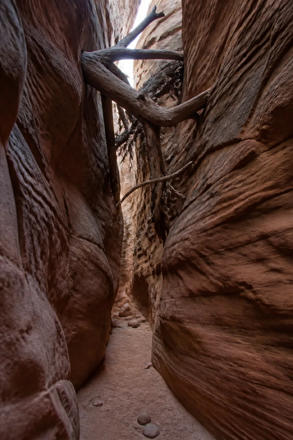 Driftwood and branches wedged high between the walls of a narrow sandstone canyon well above head height | KnowOutdoor