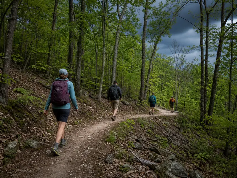 Four hikers spaced along a winding lower forest trail while maintaining line of sight during an approaching thunderstorm - group spacing during lightning exposure | KnowOutdoor