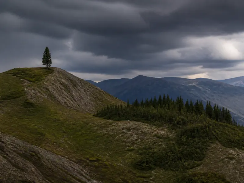 Wide terrain comparison showing an exposed ridgeline and isolated tree above a lower stand of uniform trees during an approaching thunderstorm - relatively safer lightning terrain | KnowOutdoor